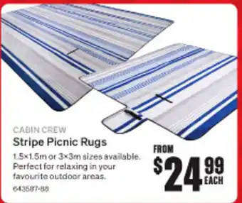Stripe Picnic Rugs