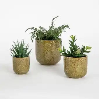 Pillow Talk Tropic planter by m.u.s.e. offer