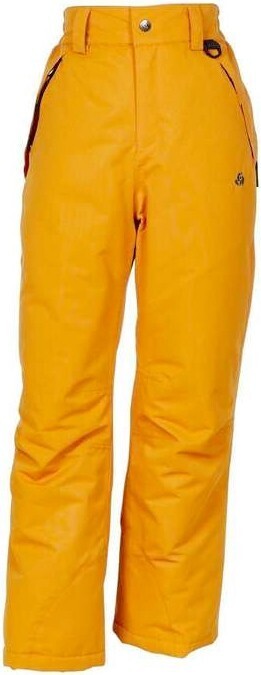 Anaconda Chute youth shred snow pants offer