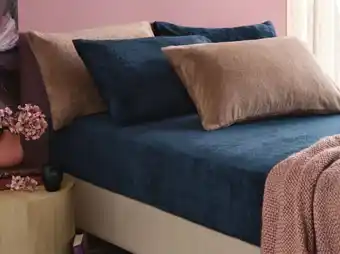 Spotlight Koo cindy teddy fitted sheet offer