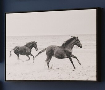 Spotlight 40% off koo galloping framed print offer