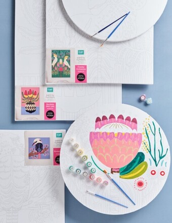 20% off emma whitelaw paint by numbers