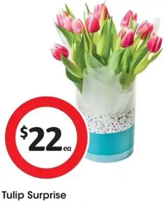 Tulip Surprise