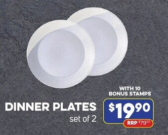 Foodland DINNER PLATES set of 2 offer