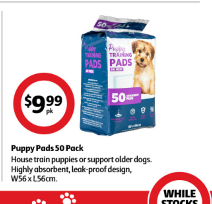 Puppy Pads 50 Pack offer at Coles