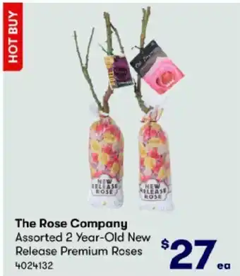 BIG W The Rose Company Assorted 2 Year-Old New Release Premium Roses 4024132 offer