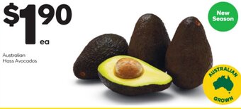 Woolworths Australian Hass Avocados offer