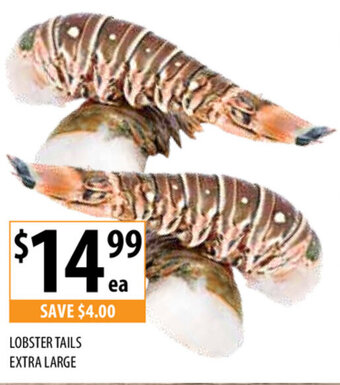 Supabarn Lobster Tails Extra Large offer