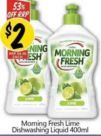 Morning Fresh Lime Dishwashing Liquid 400ml
