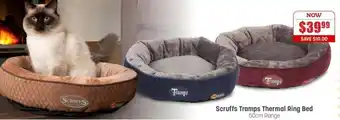 Scruffs Tramps Thermal Ring Bed 50cm