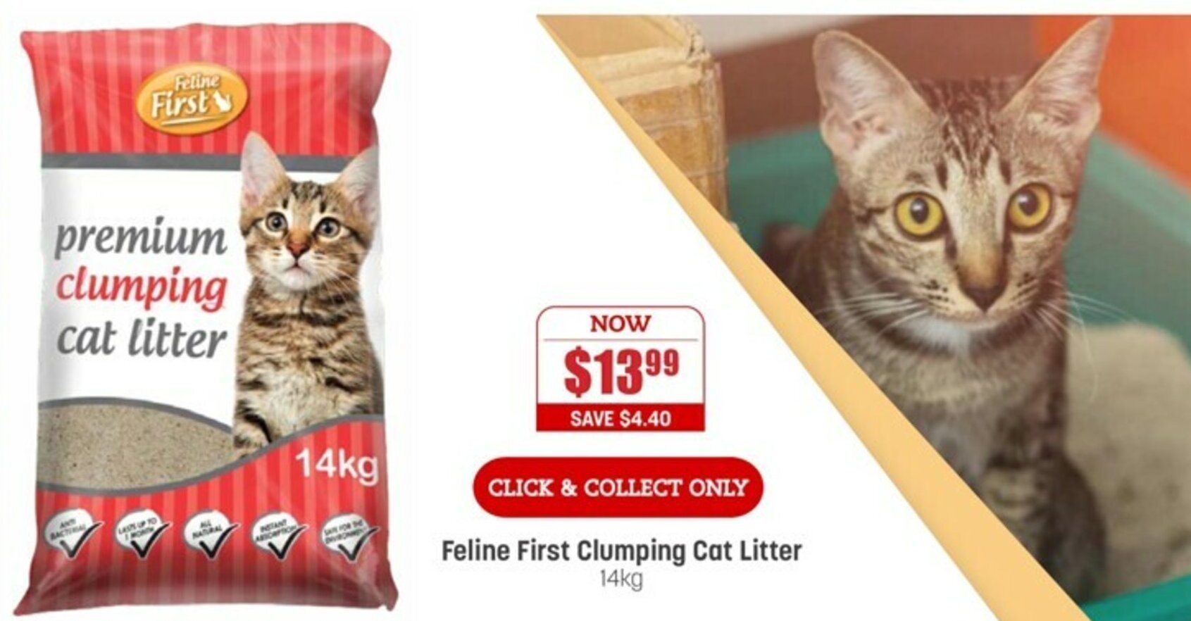 feline first clumping litter