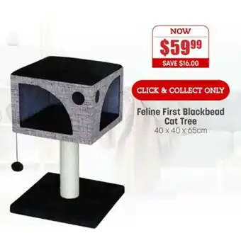 Pets Domain Feline First Blackbead Cat Tree 40x40x65cm offer