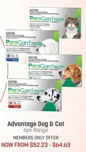 Pets Domain Advantage God & Cat 6pk offer