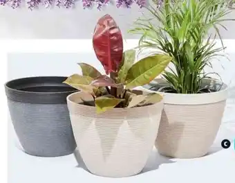 38cm Decorative Ribbed Planter 38cmx29cm