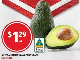 ALDI Australian Hass Avocados offer