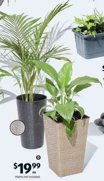 ALDI Wicker Planter 28cmx45cm offer