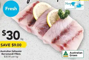 Drakes Australian Saltwater Barramundi Fillets offer
