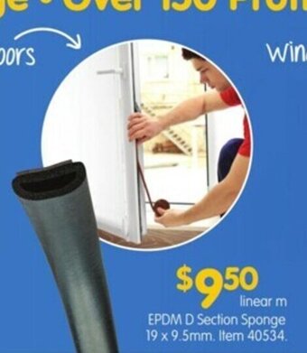 EPDM D Section Sponge 19 x 9.5mm