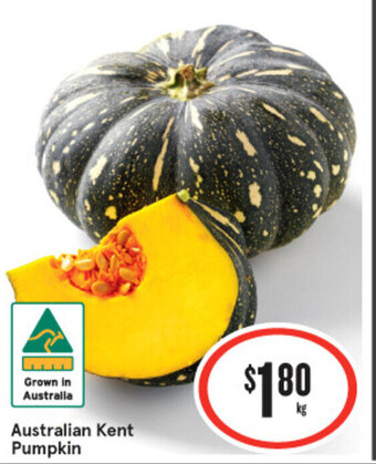 Australian Kent Pumpkin