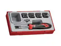Toolmart Tengtools 38 Pce Torque Scredriver Set offer