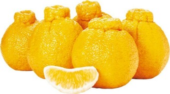 Woolworths Australian Sumo Citrus® Mandarins offer