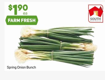 Foodland Spring Onion Bunch offer