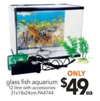 Glass Fish Aquarium