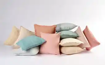 Spotlight Emerald hill cushion covers 2 pack offer