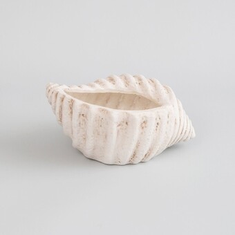 Pillow Talk Conch bowl by m.u.s.e. offer