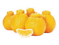 Woolworths Australian Sumo Citrus Mandarins offer