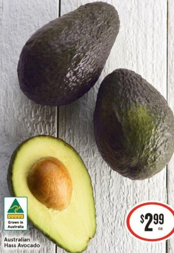 IGA Australian Hass Avocado offer