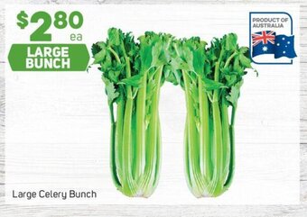 Large Celery Bunch
