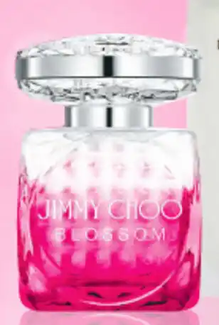 Priceline Prestige Scents for Her Jimmy Choo Blossom EDP 40ml offer
