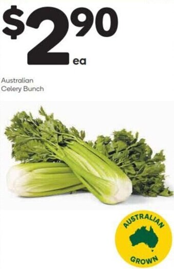 Woolworths Australian Celery Bunch offer