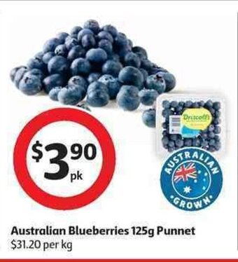 Coles Australian Blueberries 125g Punnet offer