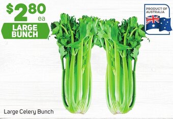 Foodland Large Celery Bunch offer