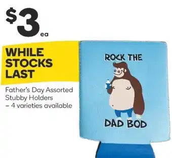 Woolworths Father's Day Assorted Stubby Holders offer