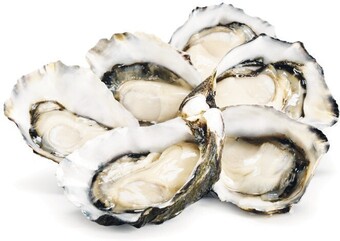 Woolworths Fresh Australian Pacific Oysters offer