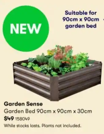 BIG W Garden Sense Garden Bed 90cmx90cmx30cm offer