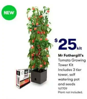 BIG W Mr Fothergill's Tomato Growing Tower Kit offer