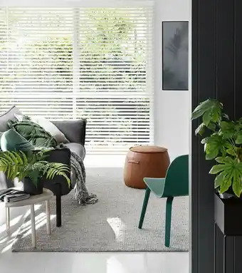 Spotlight 50% off Ready-To-Hang 50mm Timber Venetian Blinds offer