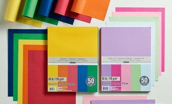 Spotlight 30% off Recollections & Francheville Paper Pads & Packs offer