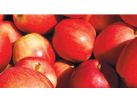 Foodworks Gala Apples offer