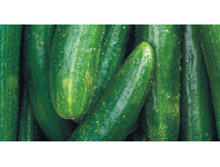 Foodworks Farm Fresh Continental Cucumbers offer