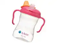 B.Box Spout Cup