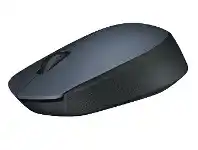 Logitech Wireless Mouse M171