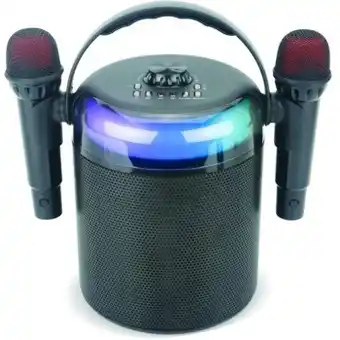 BIG W Brooklyn audio karaoke machine large with 2 wireless microphones - black offer