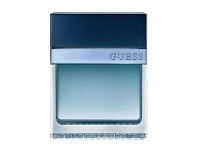 Terry White Guess Seductive Homme Blue EDT Spray 100ml offer