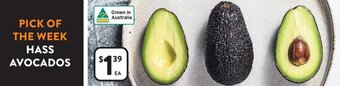 HASS AVOCADOS