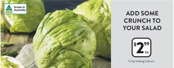 Foodworks Crisp Iceberg Lettuce offer